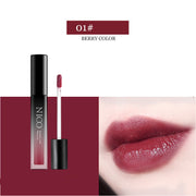 Velvet matte lasting moisturizing beauty lip gloss