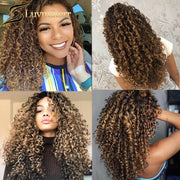 Colored Afro Mongolian Kinky Curly Wig 13x6 Highlighted Hd Transparent Lace Frontal Honey Blonde Human Hair Wigs Pre plucked
